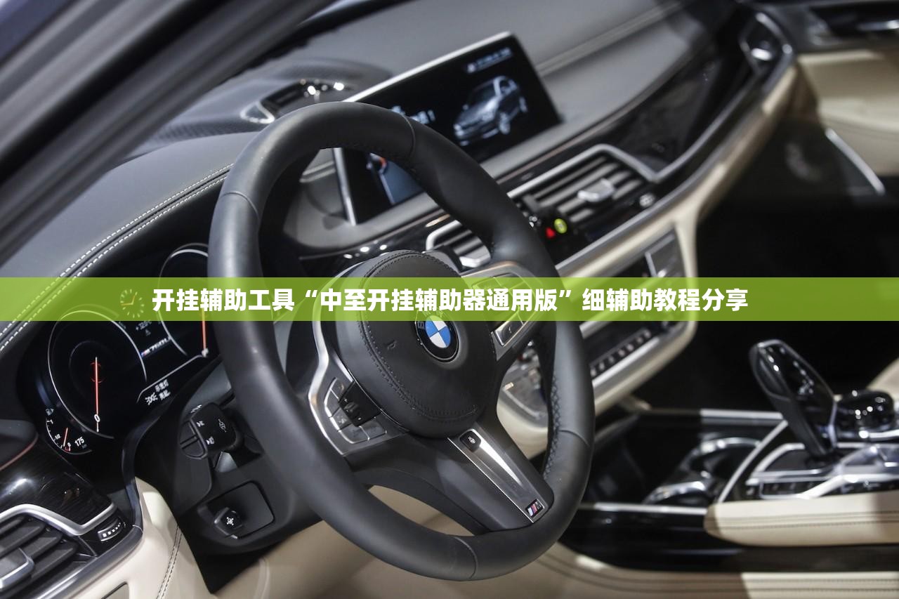 开挂辅助工具“中至开挂辅助器通用版”细辅助教程分享