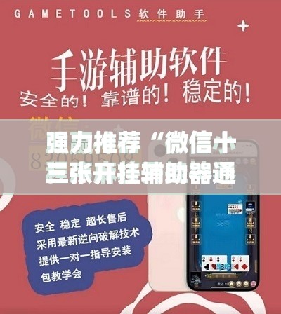 强力推荐“微信十三张开挂辅助器通用版”(免费)开挂辅助教学(最新辅助开挂教程)