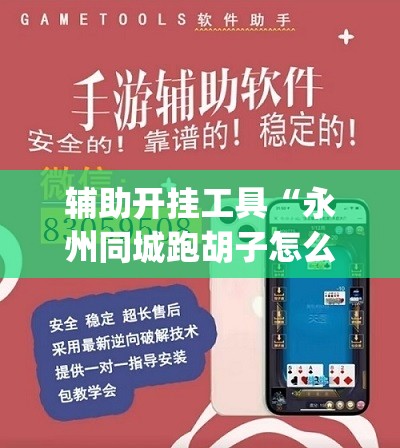 辅助开挂工具“永州同城跑胡子怎么开挂”开挂(透视)辅助神器