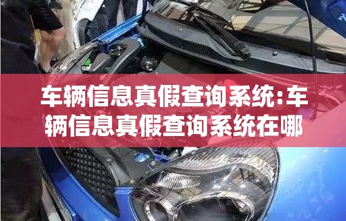 车辆信息真假查询系统:车辆信息真假查询系统在哪里查