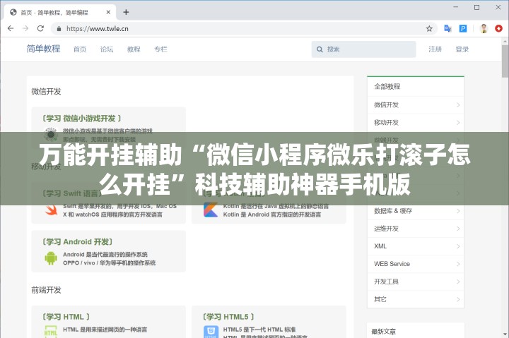万能开挂辅助“微信小程序微乐打滚子怎么开挂”科技辅助神器手机版