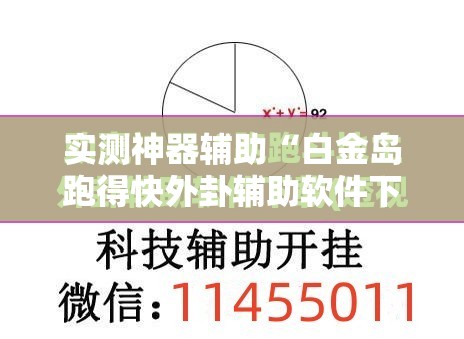 实测神器辅助“白金岛跑得快外卦辅助软件下载	”开挂详细教程