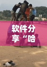 软件分享“哈狗十三道开挂教程	”科技辅助神器手机版