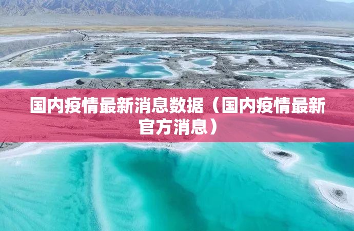 国内疫情最新消息数据(国内疫情最新官方消息) 国内疫情最新消息数据(国内疫情最新官方消息)