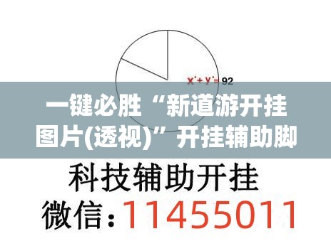 一键必胜“新道游开挂图片(透视)	”开挂辅助脚本+详细开挂安装教程