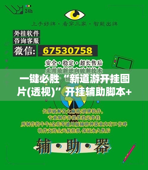 一键必胜“新道游开挂图片(透视)”开挂辅助脚本+详细开挂安装教程