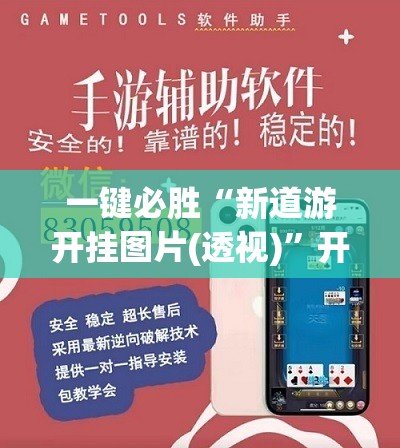 一键必胜“新道游开挂图片(透视)	”开挂辅助脚本+详细开挂安装教程