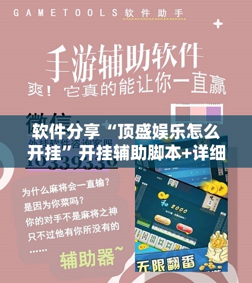 软件分享“顶盛娱乐怎么开挂”开挂辅助脚本+详细开挂安装教程