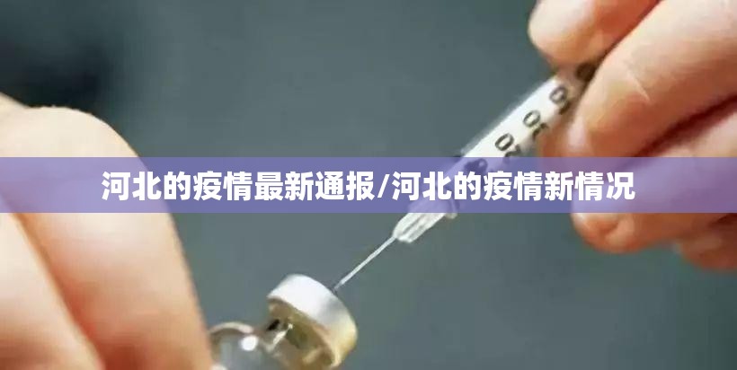 河北的疫情最新通报/河北的疫情新情况 河北的疫情最新通报/河北的疫情新情况