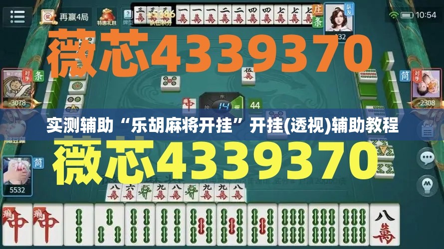 实测辅助“乐胡麻将开挂”开挂(透视)辅助教程