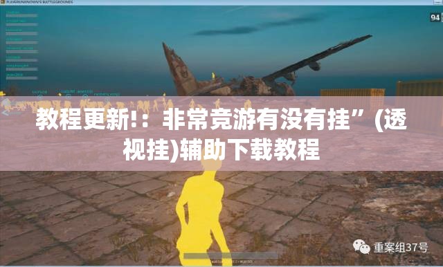 教程更新!：非常竞游有没有挂	”(透视挂)辅助下载教程