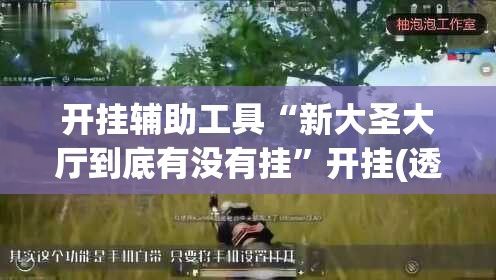 开挂辅助工具“新大圣大厅到底有没有挂”开挂(透视)辅助教程