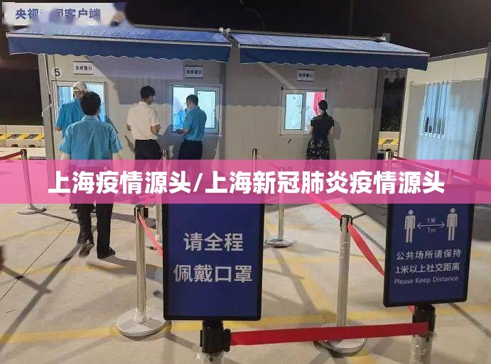 上海疫情源头/上海新冠肺炎疫情源头