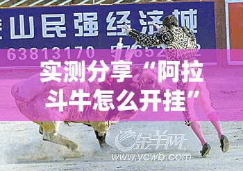实测分享“阿拉斗牛怎么开挂”其实确实有挂