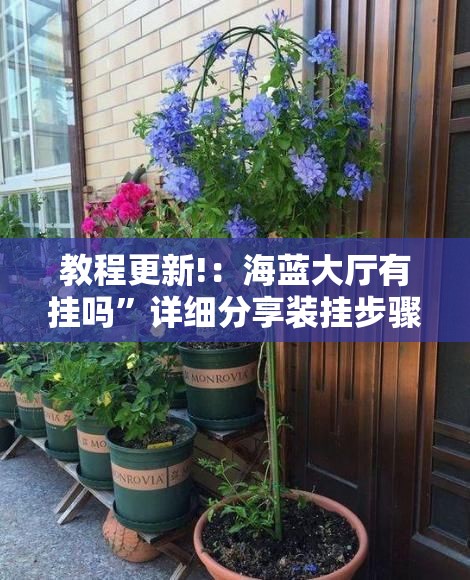 教程更新!：海蓝大厅有挂吗”详细分享装挂步骤