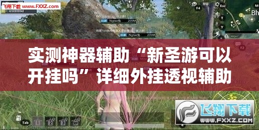 实测神器辅助“新圣游可以开挂吗	”详细外挂透视辅助软件教程