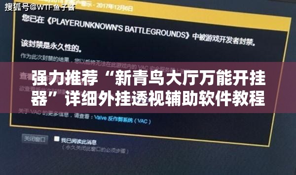 强力推荐“新青鸟大厅万能开挂器	”详细外挂透视辅助软件教程