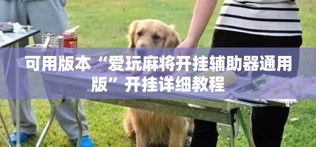 可用版本“爱玩麻将开挂辅助器通用版	”开挂详细教程