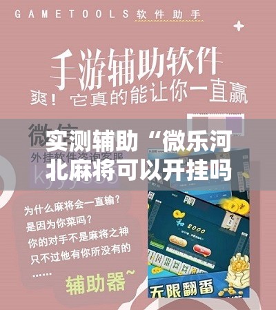 实测辅助“微乐河北麻将可以开挂吗”开挂辅助脚本+详细开挂安装教程