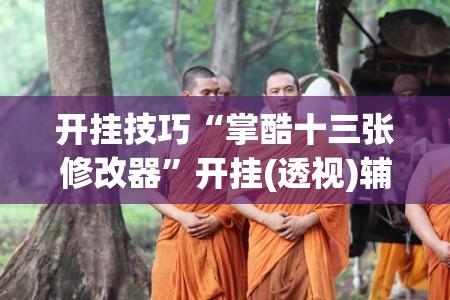 开挂技巧“掌酷十三张修改器”开挂(透视)辅助教程