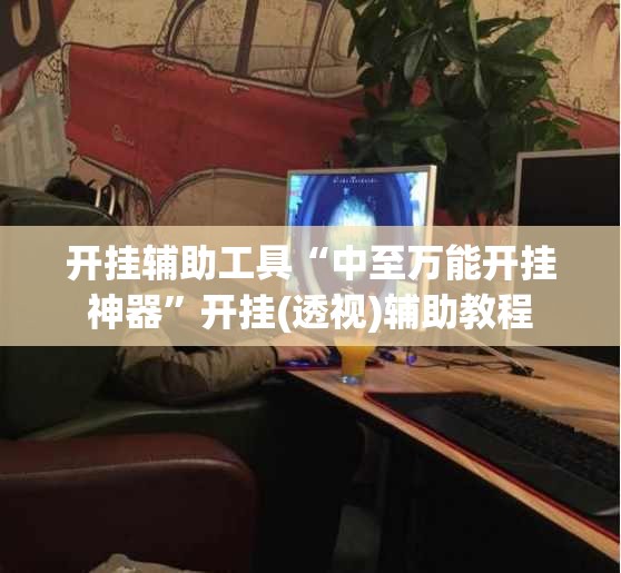 开挂辅助工具“中至万能开挂神器”开挂(透视)辅助教程