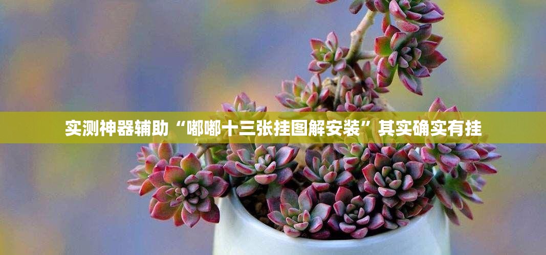 实测神器辅助“嘟嘟十三张挂图解安装”其实确实有挂