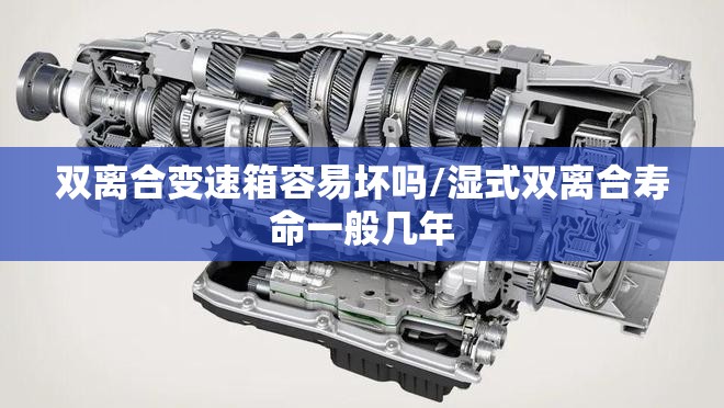 双离合变速箱容易坏吗/湿式双离合寿命一般几年