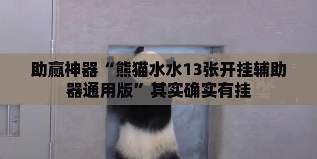 助赢神器“熊猫水水13张开挂辅助器通用版”其实确实有挂