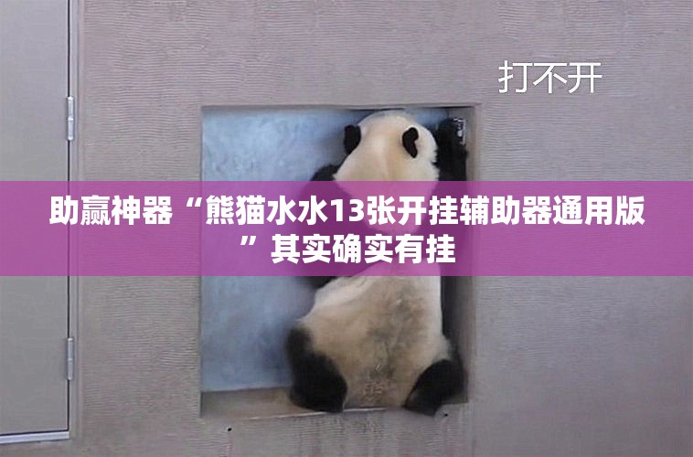 助赢神器“熊猫水水13张开挂辅助器通用版”其实确实有挂