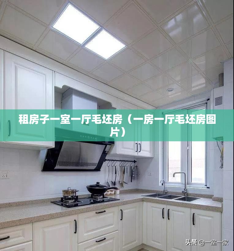 租房子一室一厅毛坯房(一房一厅毛坯房图片) 租房子一室一厅毛坯房(一房一厅毛坯房图片)