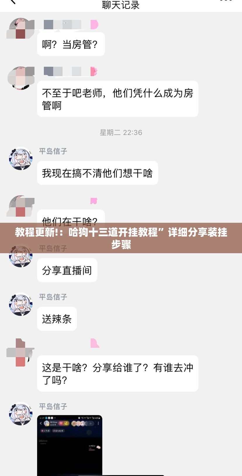 教程更新!：哈狗十三道开挂教程”详细分享装挂步骤