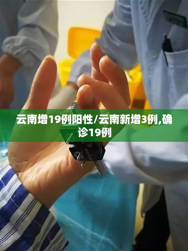 云南增19例阳性/云南新增3例,确诊19例 云南增19例阳性/云南新增3例,确诊19例
