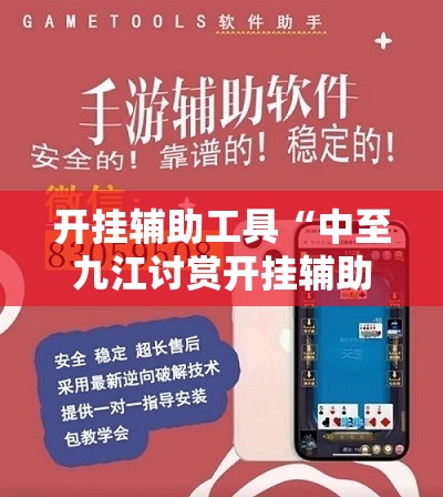 开挂辅助工具“中至九江讨赏开挂辅助器通用版	”详细分享装挂步骤