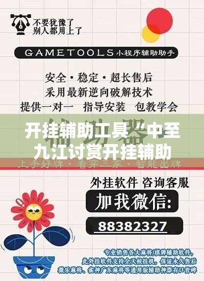 开挂辅助工具“中至九江讨赏开挂辅助器通用版”详细分享装挂步骤