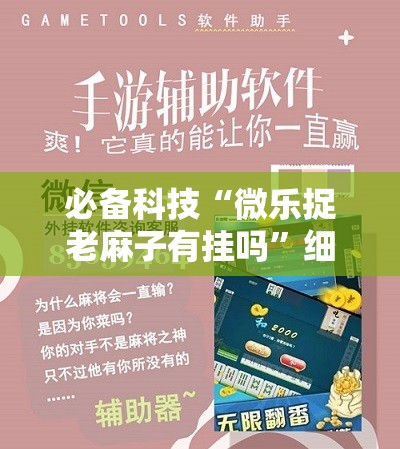 必备科技“微乐捉老麻子有挂吗”细辅助教程分享
