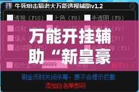 万能开挂辅助“新皇豪大厅透视”开挂详细教程