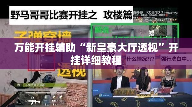 万能开挂辅助“新皇豪大厅透视	”开挂详细教程