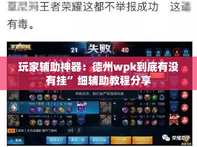 玩家辅助神器：德州wpk到底有没有挂	”细辅助教程分享