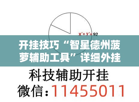 开挂技巧“智星德州菠萝辅助工具”详细外挂透视辅助软件教程