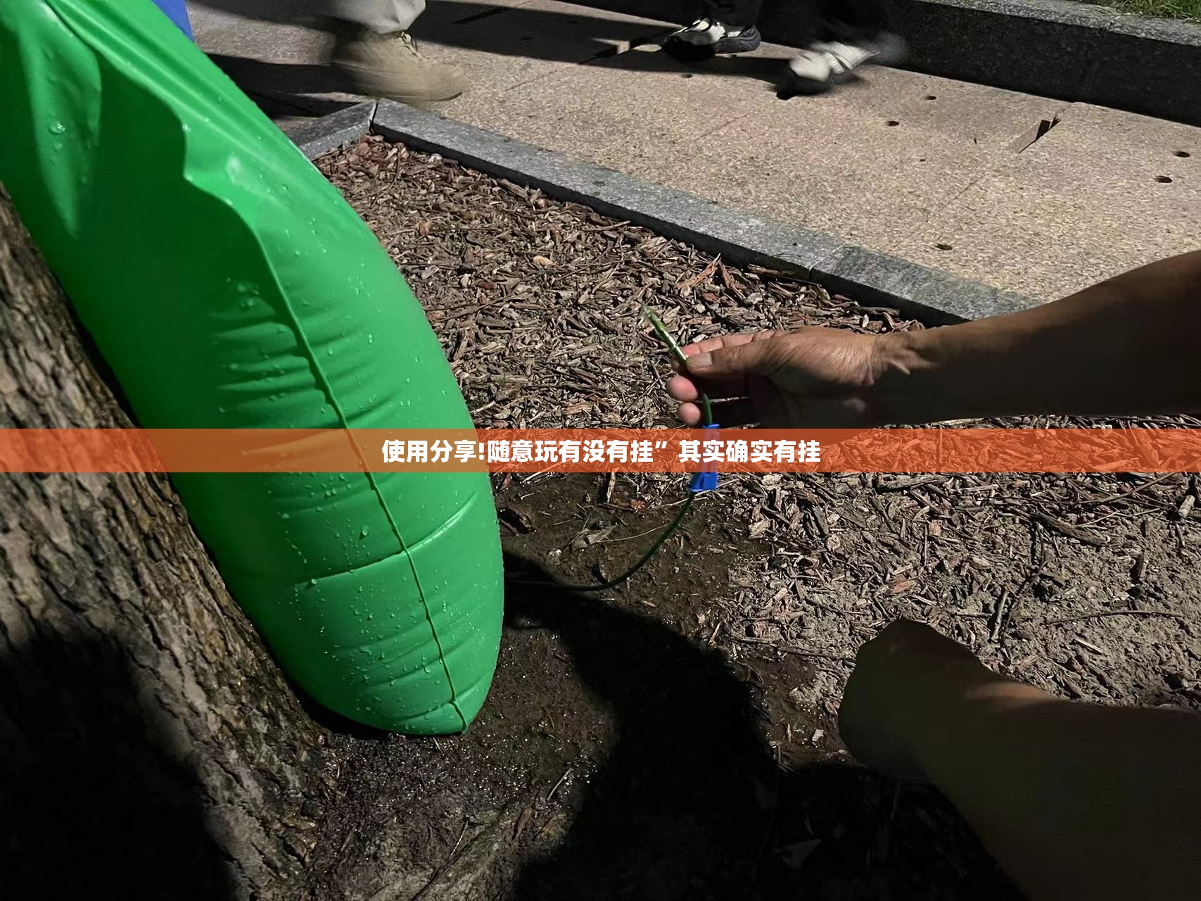 使用分享!随意玩有没有挂	”其实确实有挂