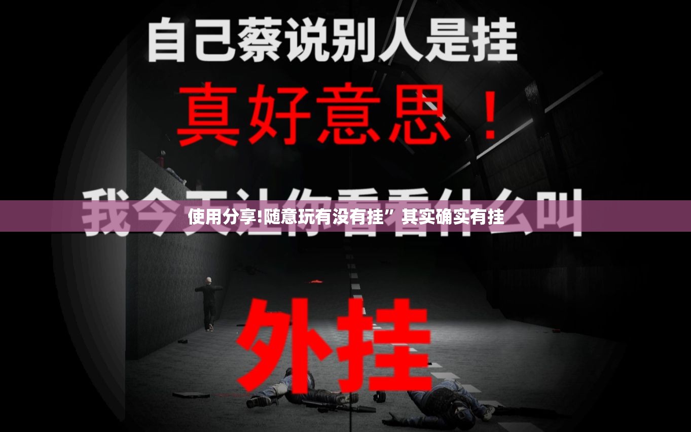 使用分享!随意玩有没有挂”其实确实有挂