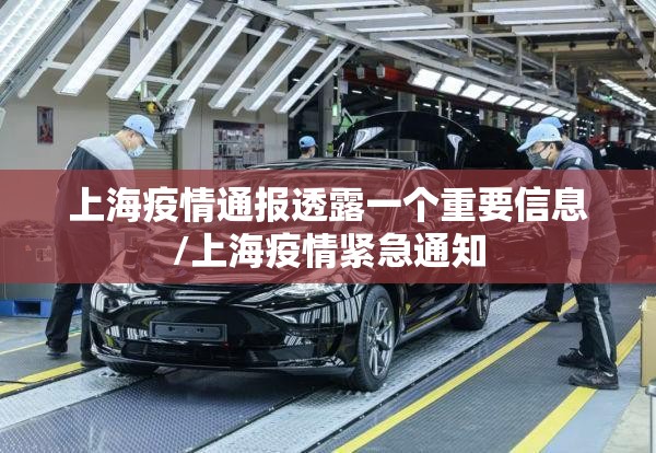 上海疫情通报透露一个重要信息/上海疫情紧急通知 上海疫情通报透露一个重要信息/上海疫情紧急通知