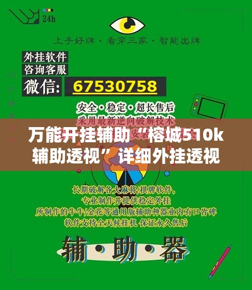 万能开挂辅助“榕城510k辅助透视”详细外挂透视辅助软件教程