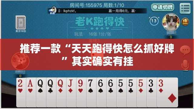 推荐一款“天天跑得快怎么抓好牌	”其实确实有挂