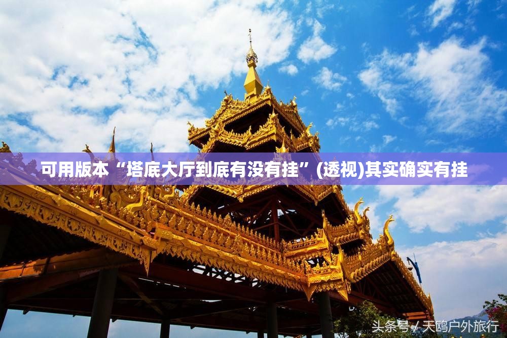 可用版本“塔底大厅到底有没有挂	”(透视)其实确实有挂