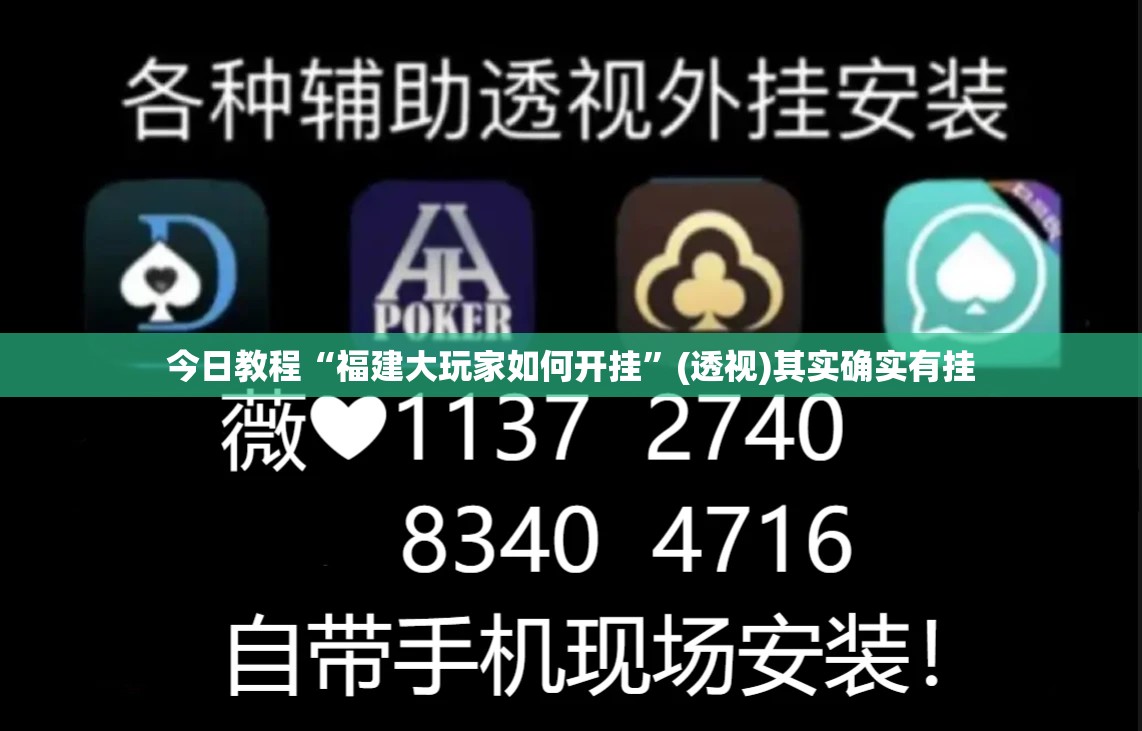 今日教程“福建大玩家如何开挂”(透视)其实确实有挂