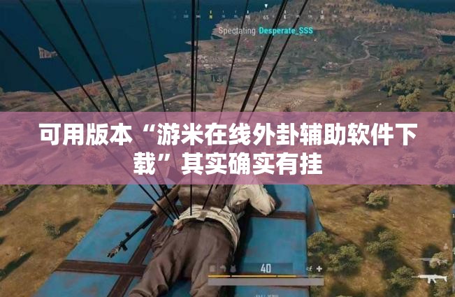 可用版本“游米在线外卦辅助软件下载	”其实确实有挂