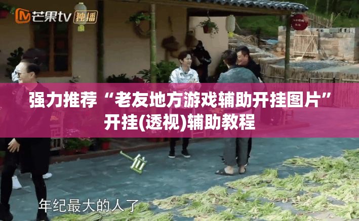 强力推荐“老友地方游戏辅助开挂图片”开挂(透视)辅助教程