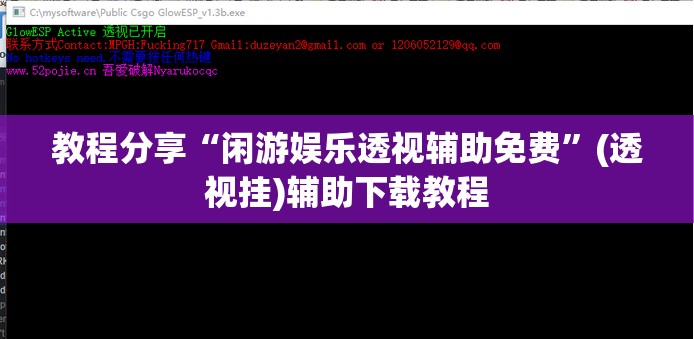 教程分享“闲游娱乐透视辅助免费”(透视挂)辅助下载教程