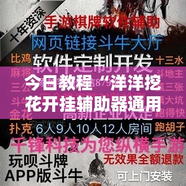 今日教程“洋洋挖花开挂辅助器通用版”详细外挂透视辅助软件教程